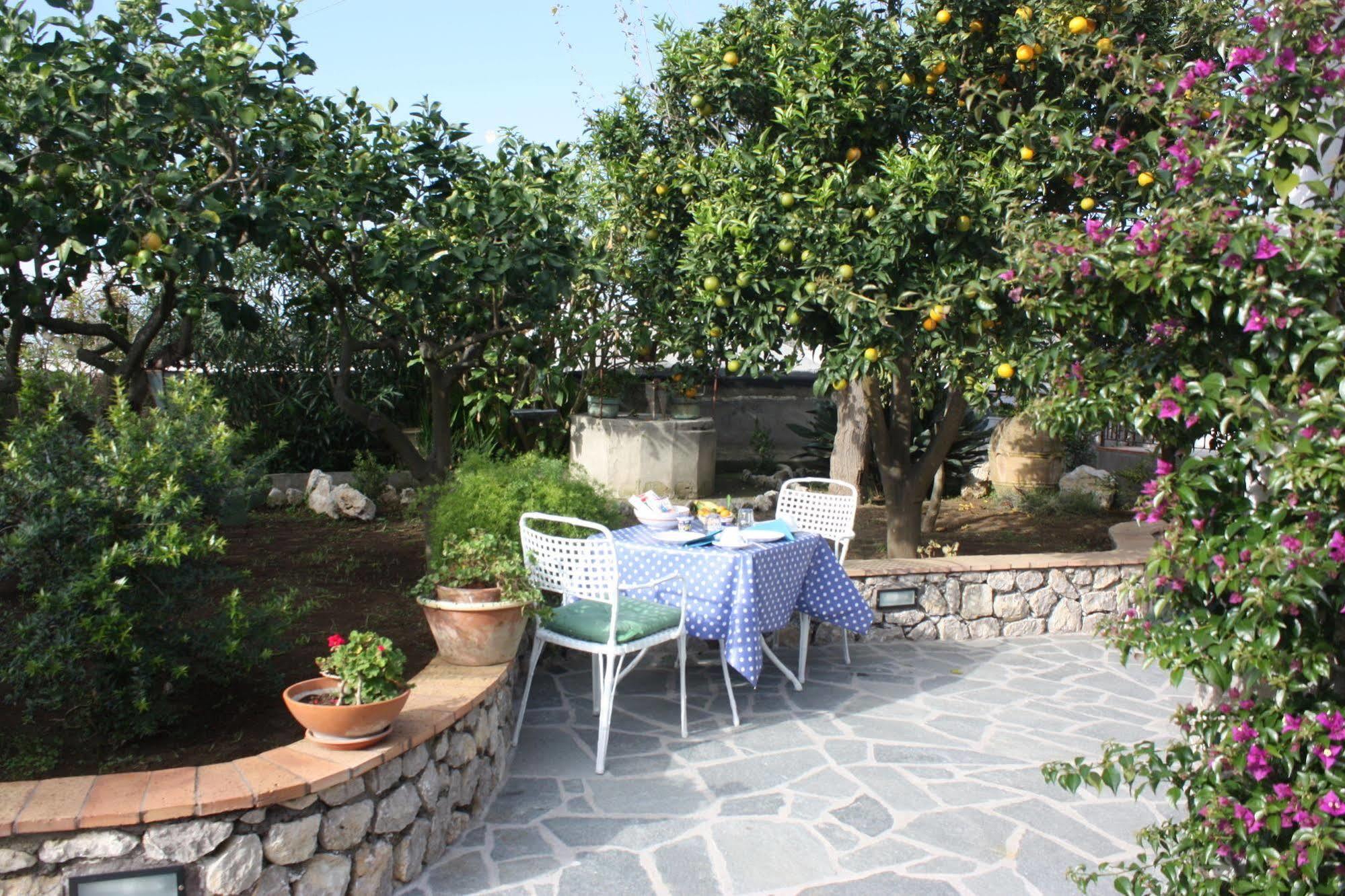 B&B Casetta Minghitto Анакапри Екстериор снимка